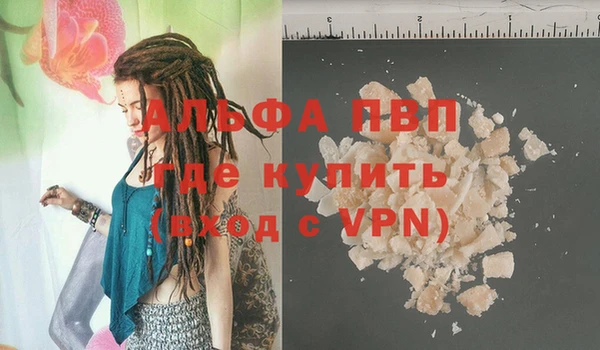 гашик Алзамай
