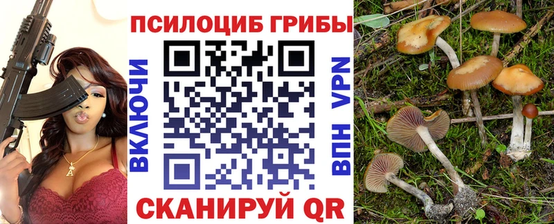 Псилоцибиновые грибы Cubensis  Анадырь 